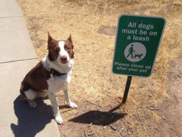 daily picdump 97 pics 25.html - 97 HD Photos | Premium Gallery 2017