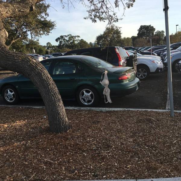 daily picdump 97 pics 25.html - 97 HD Photos | Premium Gallery 2017