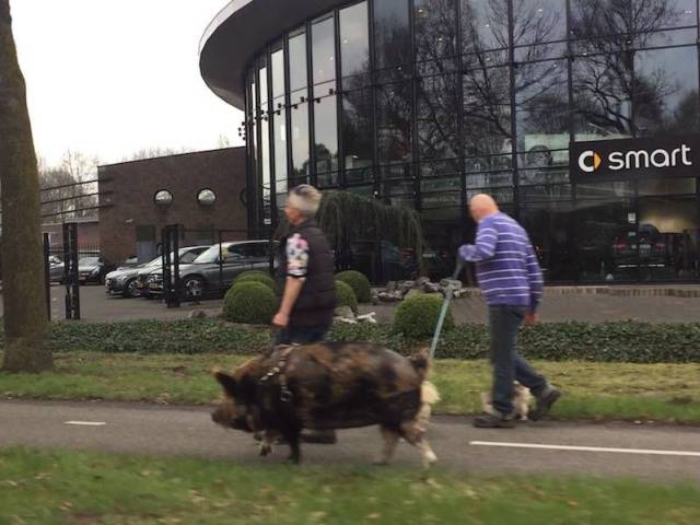 daily picdump 97 pics 25.html - 97 HD Photos | Premium Gallery 2017