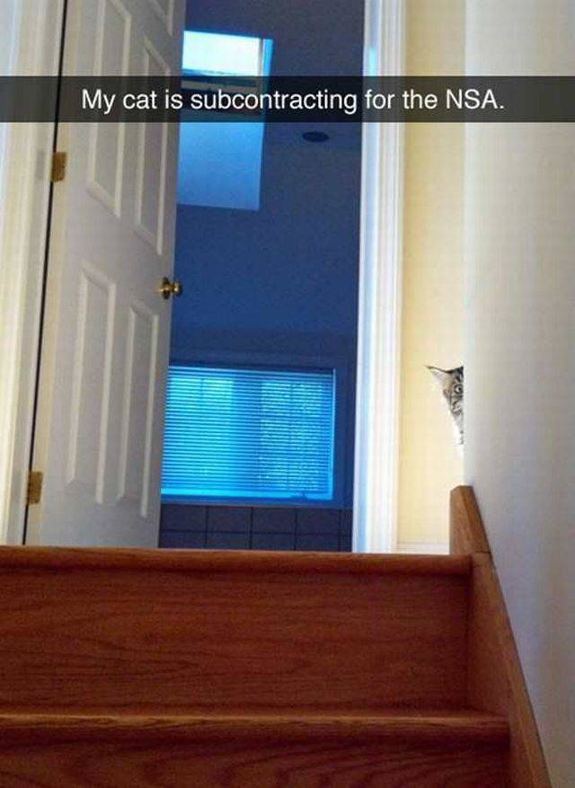 daily picdump 97 pics 25.html - 97 HD Photos | Premium Gallery 2017