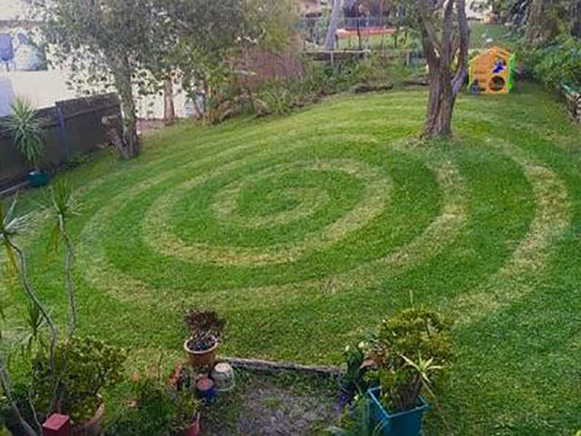 morning picdump 50 pics 2.html - 50 HD Photos | Premium Gallery 2017