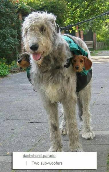 morning picdump 50 pics 2.html - 50 HD Photos | Premium Gallery 2017
