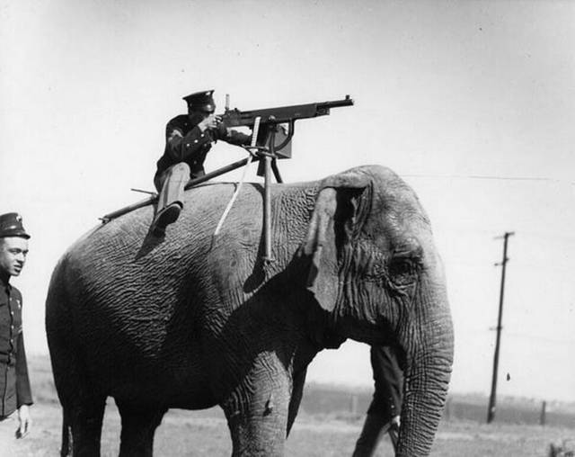 morning picdump 50 pics 2.html - 50 HD Photos | Premium Gallery 2017