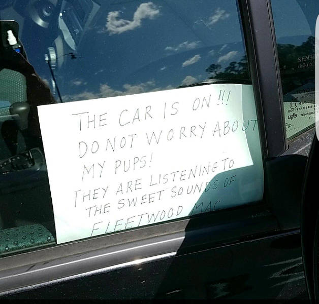 morning picdump 50 pics 2.html - 50 HD Photos | Premium Gallery 2017