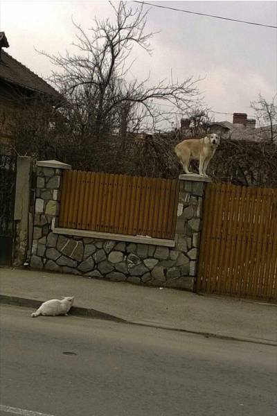 morning picdump 50 pics 2.html - 50 HD Photos | Premium Gallery 2017