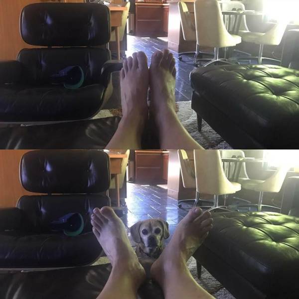 daily picdump 100 pics 2.html - 100 HD Photos | Premium Gallery 2017