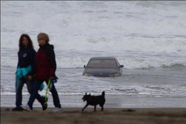 daily picdump 100 pics 2.html - 100 HD Photos | Premium Gallery 2017