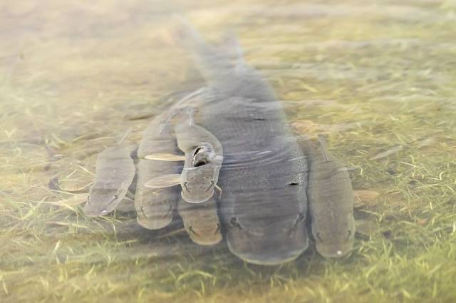 daily picdump 100 pics 2.html - 100 HD Photos | Premium Gallery 2017