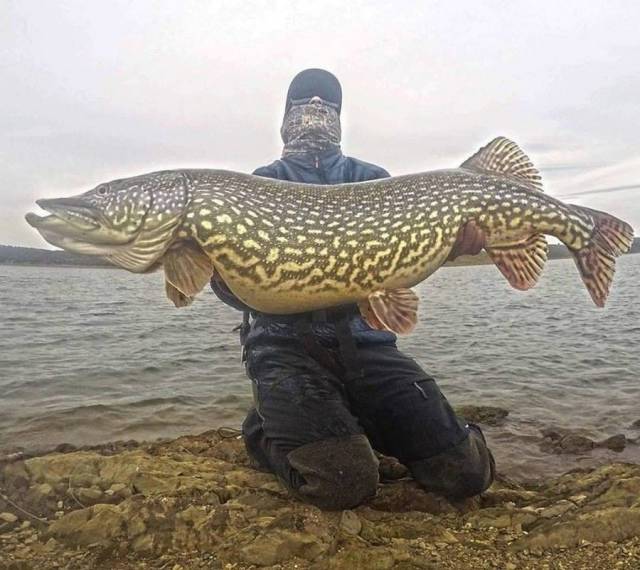 daily picdump 100 pics 2.html - 100 HD Photos | Premium Gallery 2017