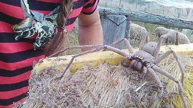 daily picdump 100 pics 2.html - 100 HD Photos | Premium Gallery 2017