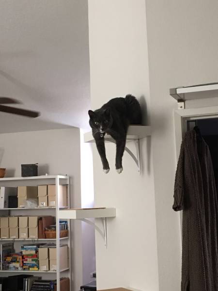 daily picdump 100 pics 2.html - 100 HD Photos | Premium Gallery 2017