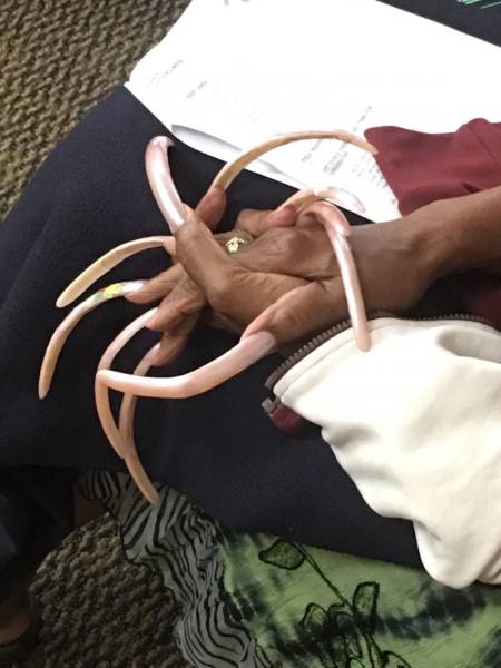 daily picdump 100 pics 2.html - 100 HD Photos | Premium Gallery 2017