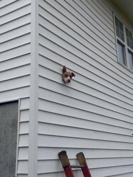 daily picdump 100 pics 2.html - 100 HD Photos | Premium Gallery 2017