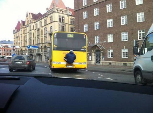 daily picdump 100 pics 2.html - 100 HD Photos | Premium Gallery 2017