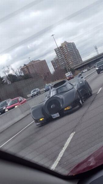 daily picdump 100 pics 2.html - 100 HD Photos | Premium Gallery 2017