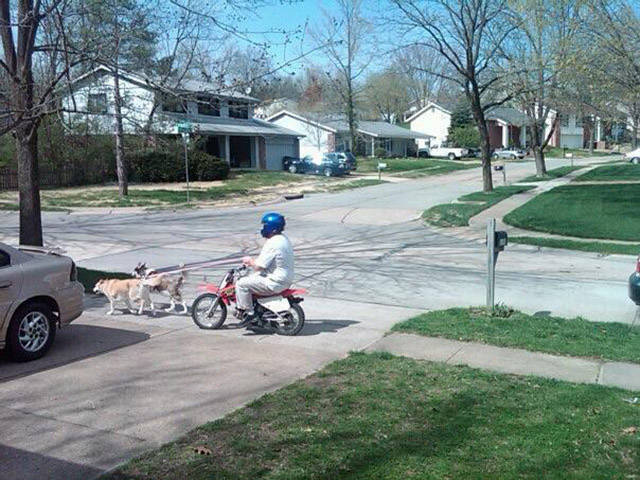 morning picdump 55 pics 4.html - 55 HD Photos | Premium Gallery 2017