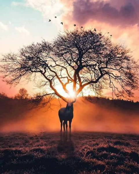 morning picdump 55 pics 4.html - 55 HD Photos | Premium Gallery 2017