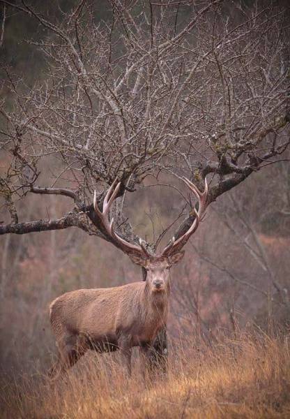 daily picdump 97 pics 2.html - 97 HD Photos | Premium Gallery 2017