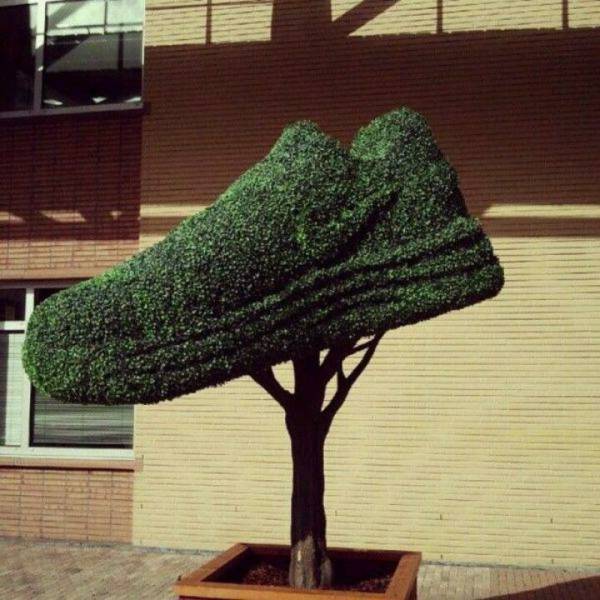 daily picdump 97 pics 2.html - 97 HD Photos | Premium Gallery 2017