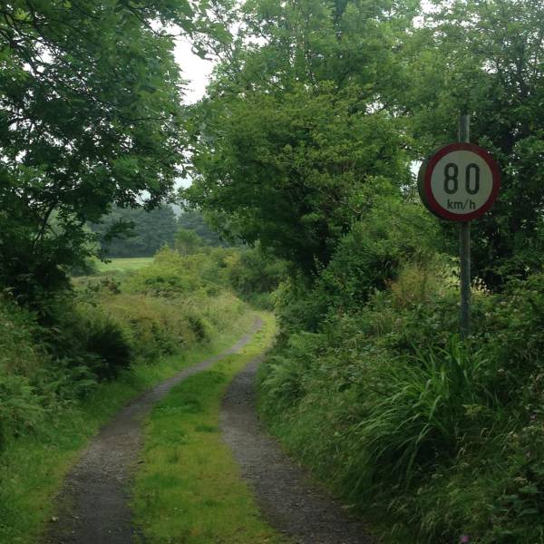 daily picdump 97 pics 2.html - 97 HD Photos | Premium Gallery 2017