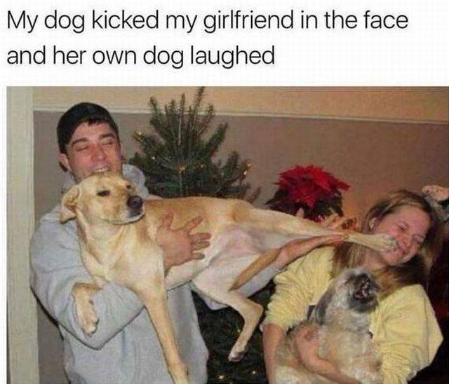 daily picdump 97 pics 2.html - 97 HD Photos | Premium Gallery 2017