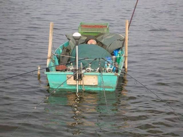 daily picdump 97 pics 2.html - 97 HD Photos | Premium Gallery 2017