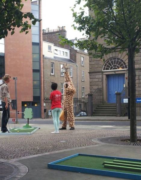 daily picdump 97 pics 2.html - 97 HD Photos | Premium Gallery 2017