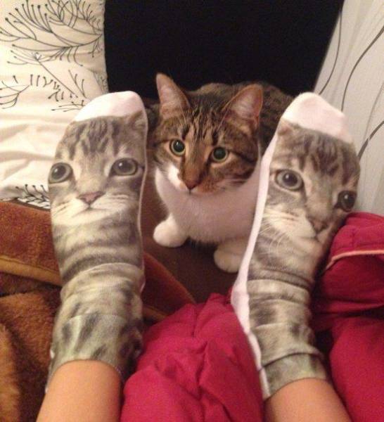 daily picdump 97 pics 2.html - 97 HD Photos | Premium Gallery 2017