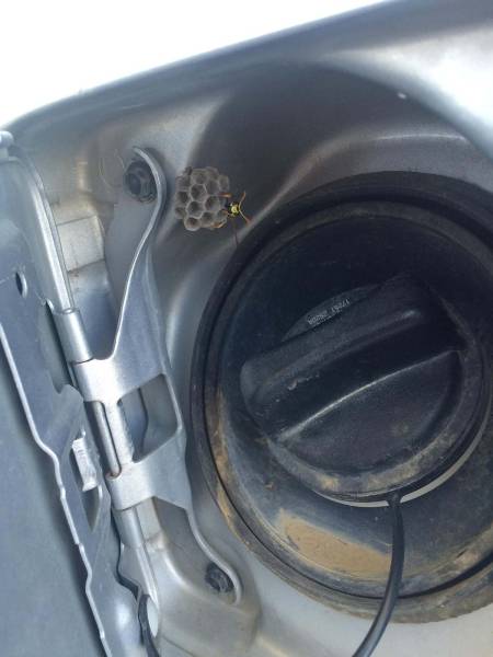 morning picdump 50 pics 3.html - 50 HD Photos | Premium Gallery 2017