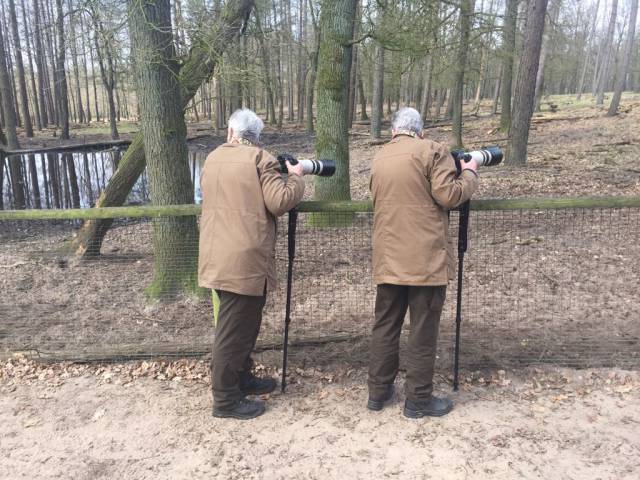 daily picdump 97 pics 9.html - 97 HD Photos | Premium Gallery 2017