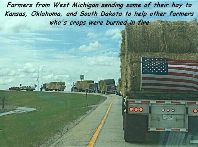 daily picdump 97 pics 9.html - 97 HD Photos | Premium Gallery 2017