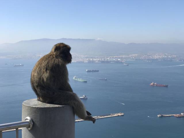 daily picdump 97 pics 9.html - 97 HD Photos | Premium Gallery 2017