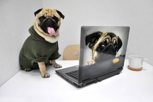 daily picdump 97 pics 9.html - 97 HD Photos | Premium Gallery 2017