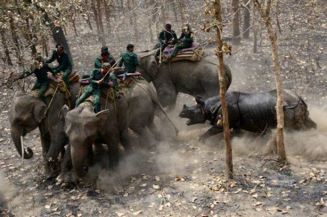 daily picdump 97 pics 9.html - 97 HD Photos | Premium Gallery 2017