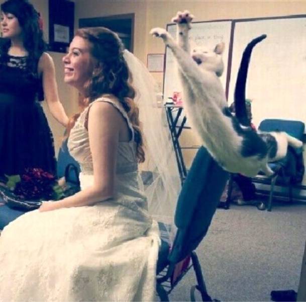 daily picdump 97 pics 9.html - 97 HD Photos | Premium Gallery 2017