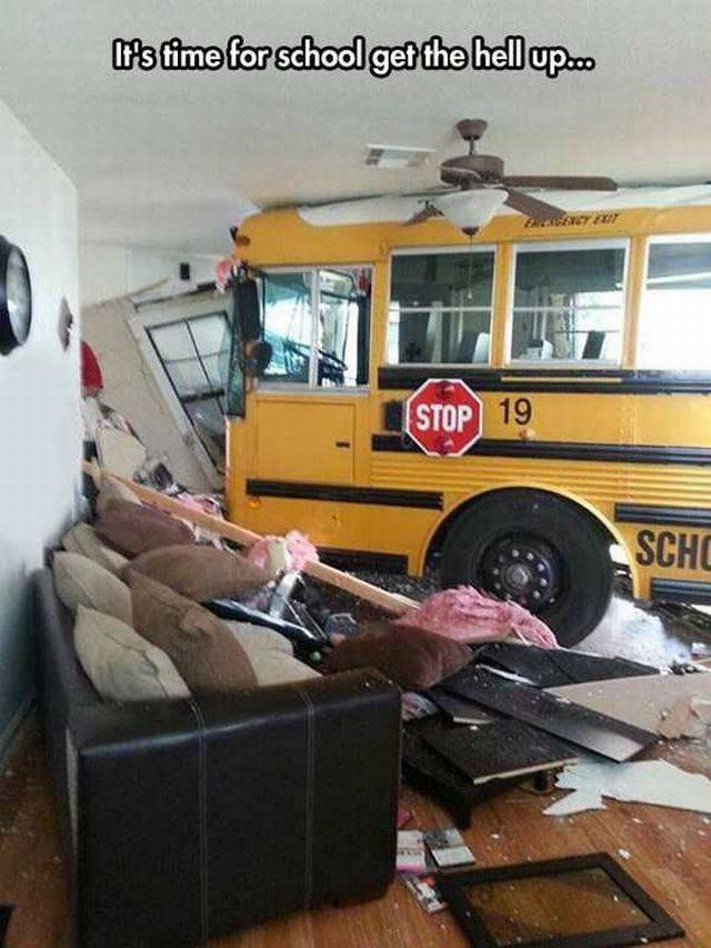 daily picdump 97 pics 9.html - 97 HD Photos | Premium Gallery 2017