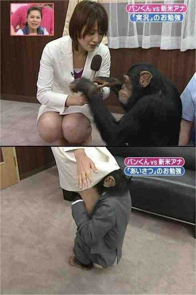 daily picdump 97 pics 9.html - 97 HD Photos | Premium Gallery 2017