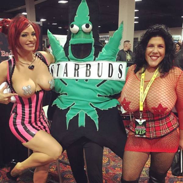 grownup corner 72 pics 2 gifs 8.html - 72 HD GIF | Premium Gallery 2017