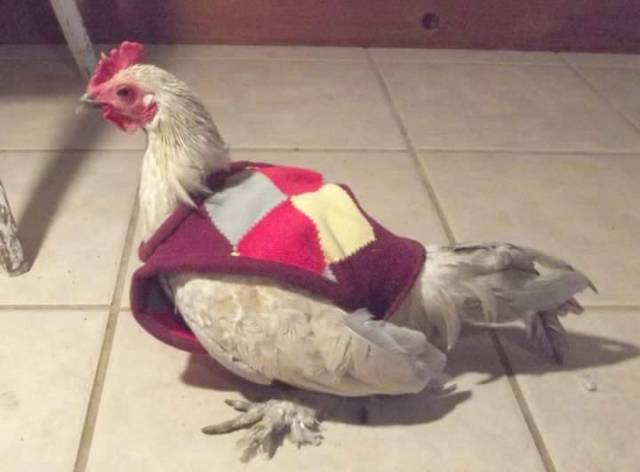 Daily Picdump [WEEKEND EDITION]