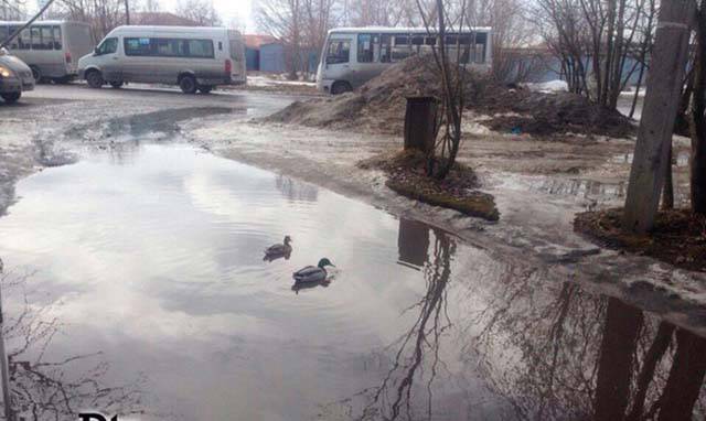 Daily Picdump [WEEKEND EDITION]