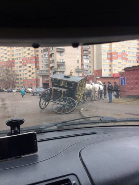 Daily Picdump [WEEKEND EDITION]