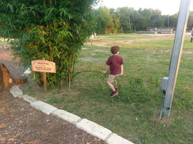 Daily Picdump [WEEKEND EDITION]