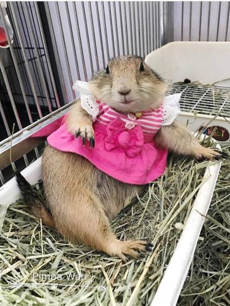 Daily Picdump [WEEKEND EDITION]