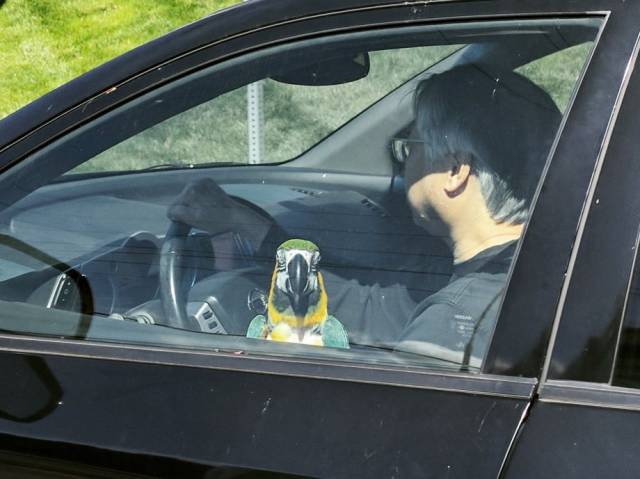 Daily Picdump [WEEKEND EDITION]