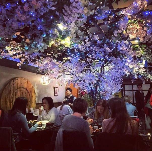 daily picdump weekend edition 55 pics 5.html - 55 HD Photos | Premium Gallery 2017