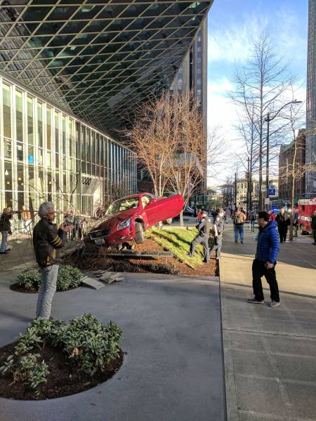 daily picdump weekend edition 55 pics 5.html - 55 HD Photos | Premium Gallery 2017