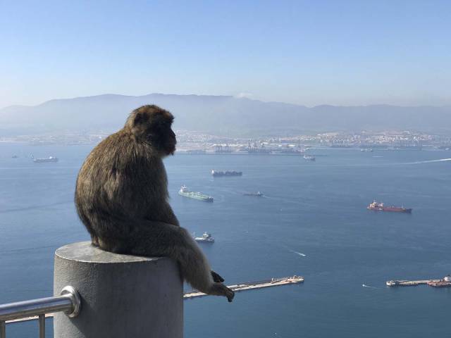 daily picdump weekend edition 55 pics 5.html - 55 HD Photos | Premium Gallery 2017