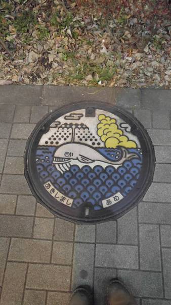 daily picdump weekend edition 55 pics 5.html - 55 HD Photos | Premium Gallery 2017