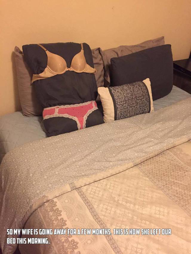 daily picdump weekend edition 55 pics 5.html - 55 HD Photos | Premium Gallery 2017