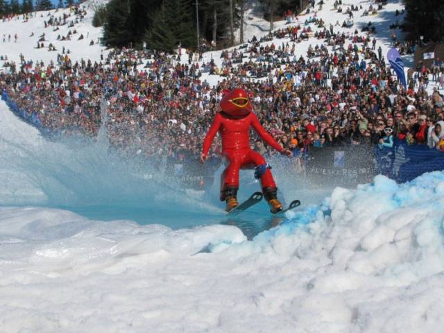 daily picdump 102 pics 48.html - 102 HD Photos | Premium Gallery 2017